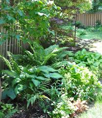 A Shade Garden In Oakville Ontario Shade Garden Shade Garden Design Outdoor Landscape Design
