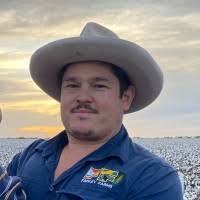 6800+ "The Findley" profiles