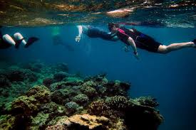 Tripadvisor has 817,751 reviews of great barrier reef hotels the world's largest coral reef system, the great barrier reef stretches almost 1500 miles into the pacific. 3myxmtntbscym