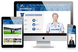 Get the latest norrkoping logo designs. Ifk Norrkoping Hamren Webbyra I Norrkoping Och Malmo