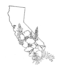 We did not find results for: 5 Wonderful California Tattoo Designs