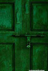 pin on color green with envy