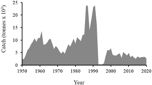 Image result for Gray 1950 Fleet