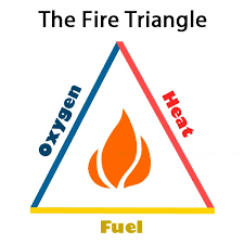 Is fire a solid, liquid or a gas? Keep A Little Fire Burning Sitting Around A Campfire One Can Feel By Nitesh Chintawar Medium