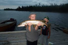 Northern Pike Fishing Erringtons Wilderness Island