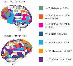 Everyone has an inner artist and some blue color in their shelf, so be creative and mix that hidden brain test consists of many tricky puzzles that make you think outside the box. Frontiers Genes Cells And Brain Areas Of Intelligence Human Neuroscience