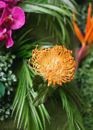 Artificial Proteas For Your Diy Tropical Wedding Protea Flower Tropical Artificial Flowers Tropical Flower Arrangements