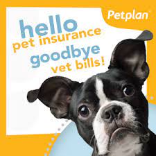 Members save up to 10% on premiums when signing up online, plus receive a visa® prepaid card (up to $35). Lifetime Insurance Coverage For Furry Family Members With Petplan Oregon Humane Society