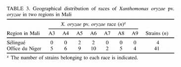 Rise of prometheus apk v1.1.3 mod+ cache/data september 14, 2019 unearthed: Characterization Of New Races Of Xanthomonas Oryzae Pv Oryzae In Mali Informs Resistance Gene Deployment Phytopathology