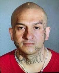 Los Angeles homicide suspect killed by officers