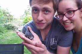 Slik helper du fuglene