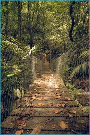 El centro de visitantes del parque nacional cerro azul meambar ( panacam) esta ubicado a 8km de la carretera que comunica a san pedro sula con tegucigalpa. Parque Nacional Cerro Azul Meambar Panacam Honduras All Over The World World Honduras