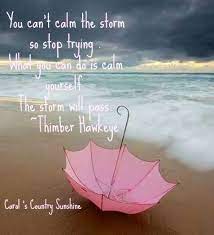 Allow God To Calm You Amidst The Storm Storm Quotes Calming The Storm Sunshine Quotes