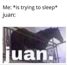 If you are a moderator please see our troubleshooting guide. Me Is Trying To Sleep Juan Memes Video Gifs Trying Memes