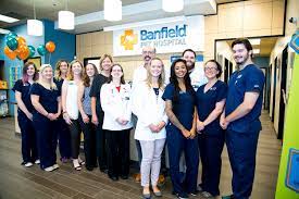 We are former clients of blue ravine animal hosptial. Newest Banfield Hospital Is One In A Thousand Today S Veterinary Business