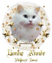 RÃ©sultat de recherche d'images pour "bonne annÃ©e chat"