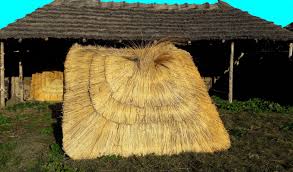 Parasol Paille Parasol Paille Parasol Paille