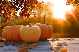 Mix flour, brown sugar, baking powder, cinnamon, ginger, salt and allspice in la. Pumpkin Spice Slot Machines Emerald Island Casino