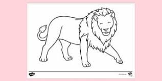 They also have a beautiful mane, whose color may vary from white to black. 10 000 Top Lion Colouring Teaching Resources
