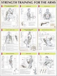 Weider 2980 X Home Gym Review Fitness Strength Training