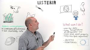 Listeria monocytogenes is a bacterium infectious to humans and causes the illness listeriosis. Listeria Infections In Humans Youtube