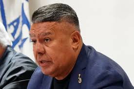 Jose Luis Fernandez y dos juveniles dieron positivo por coronavirus en  Nueva Chicago