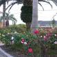 Kanmuriyama Comprehensive Park Autumn Rose Week event image