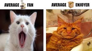 Average fan vs average enjoyer video meme maker another x vs y meme template for you to use to compare one thing you like to one thing you don't. Facebook