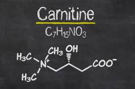 Image result for l-carnitine