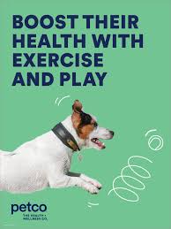Our pet adoption tool is easy to use and will help you locate cats and dogs for adoption from pet adoption centers in your area. Petco Encourages Healthy Summer Habits For Pets Shares Essential Tips To Enhance Their Exercise Routine And Whole Health