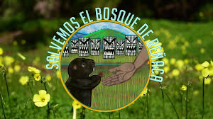Salvemos el Bosque de Reñaca - Home | Facebook