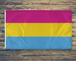 675x1200 aesthetic pansexual flag wallpaper>. Sexuality Flags Lgbt Symbols The Ultimate Pride Guide