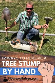 Tree removal can be a dangerous, expensive and messy job. 12 Ways To Remove A Tree Stump By Hand Backyardables