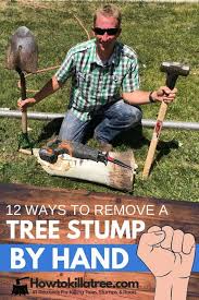 Measure the tree (s) using a measuring tape. 12 Ways To Remove A Tree Stump By Hand Backyardables