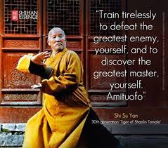 40 Inspirational Martial Art Quotes You Must Read Right Now Bored Art Martial Arts Quotes Martial Arts Inspirational Quotes