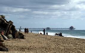 This is the only area where dogs are allowed on the beach in huntington beach. Huntington Dog Beach Huntington Beach Ca California Beaches