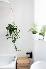 Theprivatelifeofagirl Com Nbsptheprivatelifeofagirl Resources And Information Easy Bathroom Updates Shower Plant Simple Bathroom