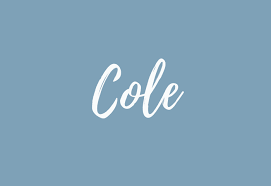 Cole Name Meaning Origin Popularity And More I More