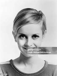 1,271 Michael Bert Photos & High Res Pictures