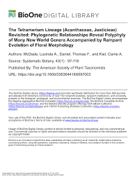 Image result for Megalochlamys revoluta