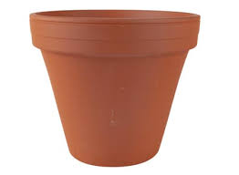 We did not find results for: Pots Miami Homestead Florida Fl