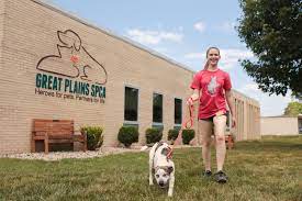 Maybe you would like to learn more about one of these? Great Plains Spca Knows Life Is Better With A Pet In Kansas City