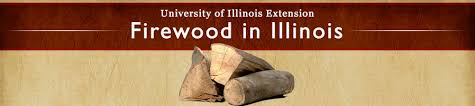 Burning Wood And Wood Characteristics University Of