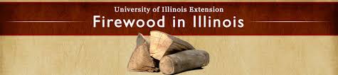 burning wood and wood characteristics university of