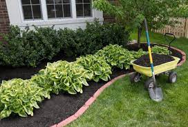 We did not find results for: The Best Time To Transplant Hostas Gardening Dream