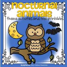 Nocturnal Animals Activities And Printables For Preschool