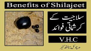 Salajeet Ke Fayde In Urdu سلاجیت کے فائدے Benefits Of Shilajeet Health Tips Family Doctors Health Professionals