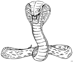 Malvorlage Kobra Schlange Coloring And Malvorlagan
