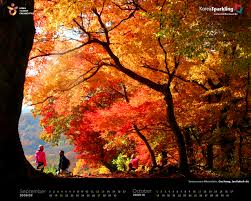 We did not find results for: Travel Lovely Autumn Season In South Korea Nina Enany