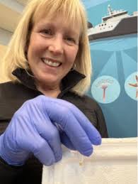 eDNA Outreach at the Otago Museum